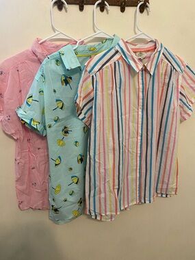BUNDLE OF 3 Woman Colorful Striped Short-Sleeve Button-Up Shirt